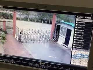 瓜
